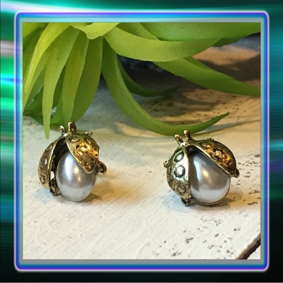 Jewelry - Lady bug Earrings